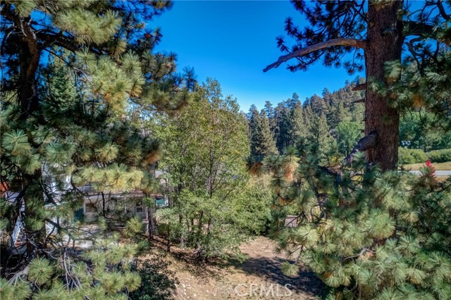 Detail Gallery Image 47 of 61 For 937 Cameron Dr, Big Bear Lake,  CA 92315 - 2 Beds | 1/1 Baths