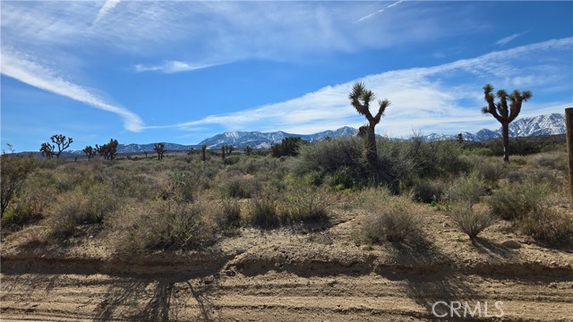 Detail Gallery Image 3 of 50 For 0 Fort Tejon Rd Vicinity 181st St E, Llano,  CA 93544 - – Beds | – Baths
