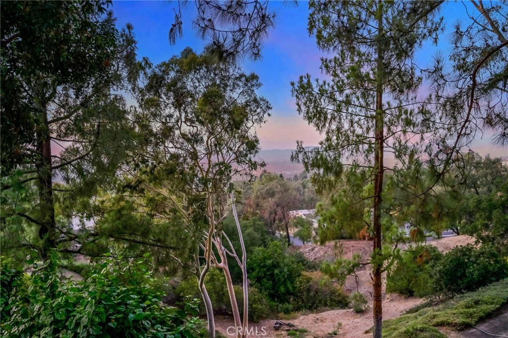 https://media.crmls.org/medias/4d22c07d-62d2-4237-9b81-a04b5dc80d3c.jpg?preset=X-Large