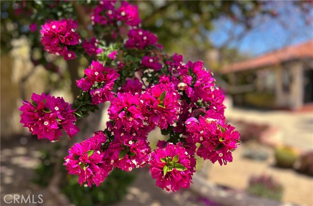 28306 Crescent Hill Way, Escondido CA: https://media.crmls.org/medias/4d22c681-511f-4586-a532-38f578b88516.jpg