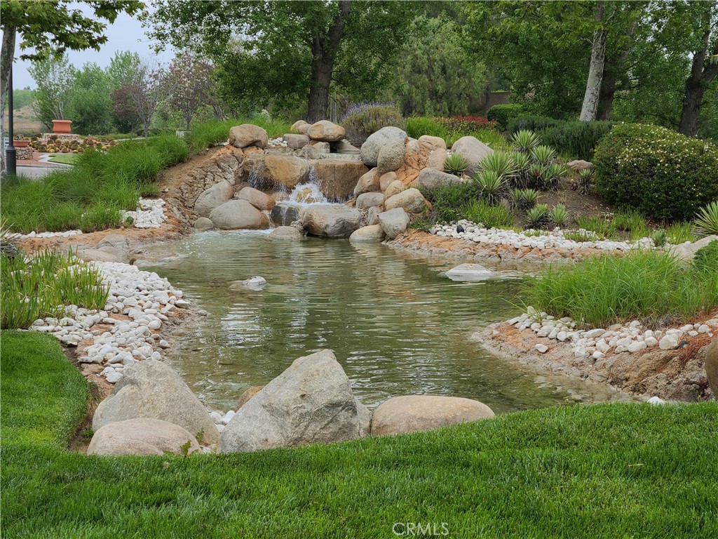 Image 24