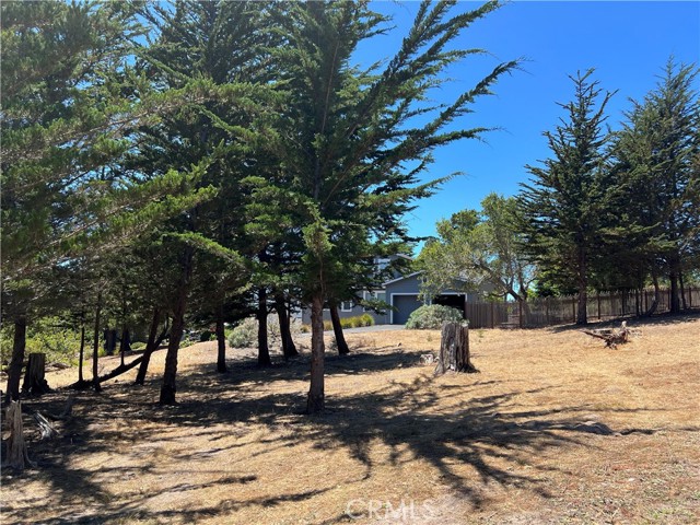 0 Warren Road, Cambria CA: https://media.crmls.org/medias/4d260935-d5c4-47b0-a33f-f7b6d2ec1bc5.jpg
