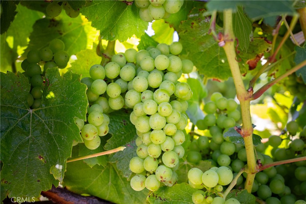 MLS #NS25194884 image #33