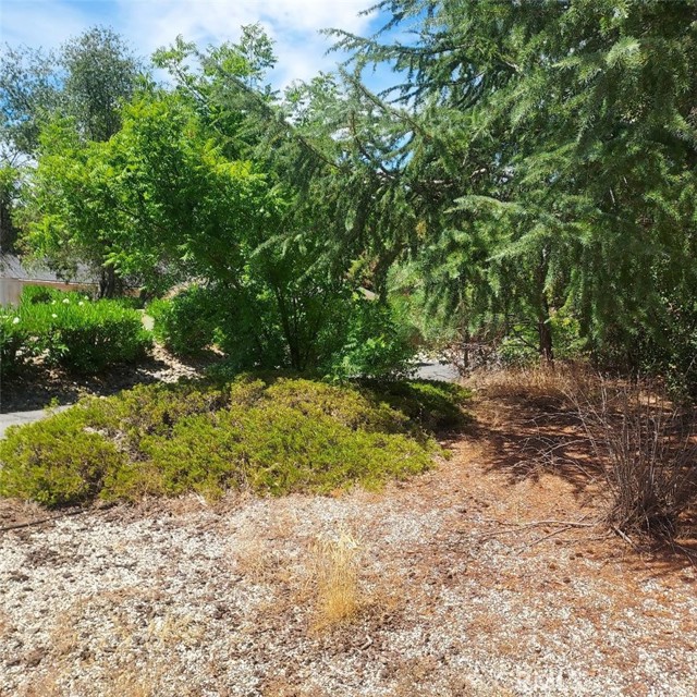 226 Rim Canyon Parkway, Oroville CA: https://media.crmls.org/medias/4d2e682f-2352-4bb4-ad3c-a9d69ba7c632.jpg