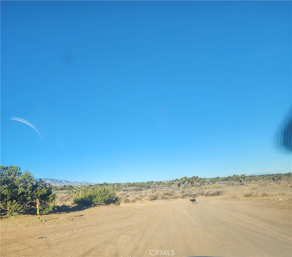 MLS #CV25255822 image #43