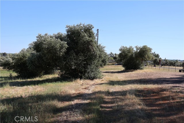 Detail Gallery Image 8 of 32 For 0 Carona Ave., Corning,  CA 96021 - – Beds | – Baths