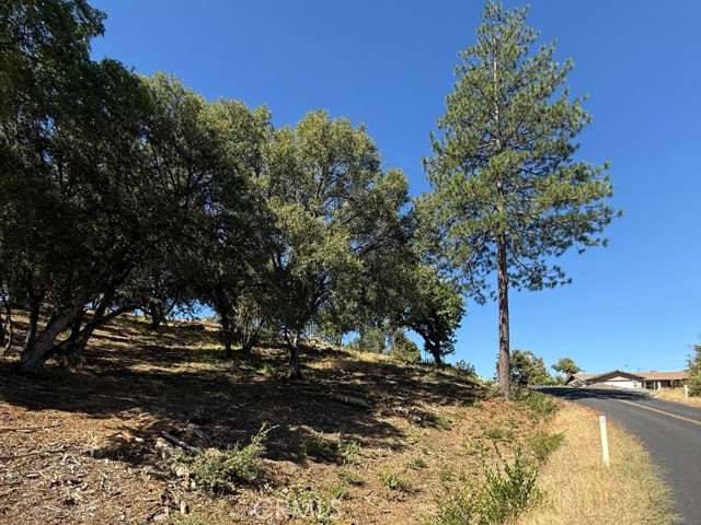 5710 Clouds Rst, Mariposa CA: https://media.crmls.org/medias/4d3a3be4-c450-4e4a-9059-eebde3a36fec.jpg