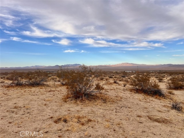 Detail Gallery Image 4 of 7 For 0 Ocotillo Rd, Johnson Valley,  CA 92285 - – Beds | – Baths