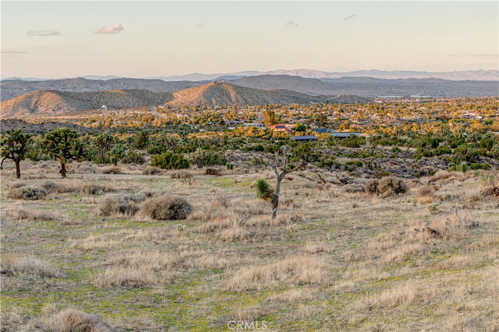 MLS #JT25229239 image #42