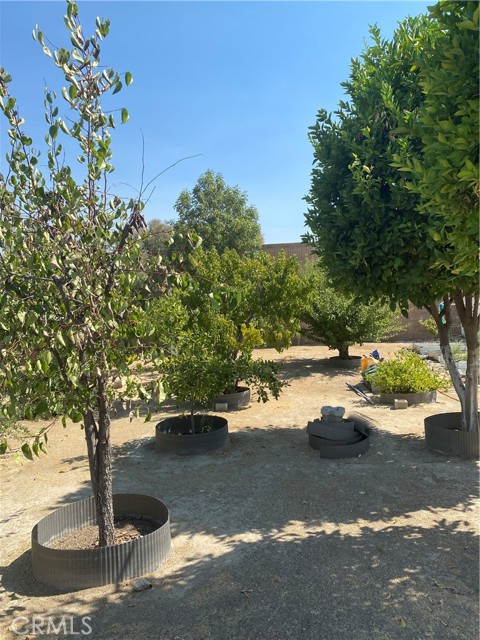 Detail Gallery Image 38 of 50 For 28253 Mesa Top Trl, Moreno Valley,  CA 92555 - 3 Beds | 2 Baths