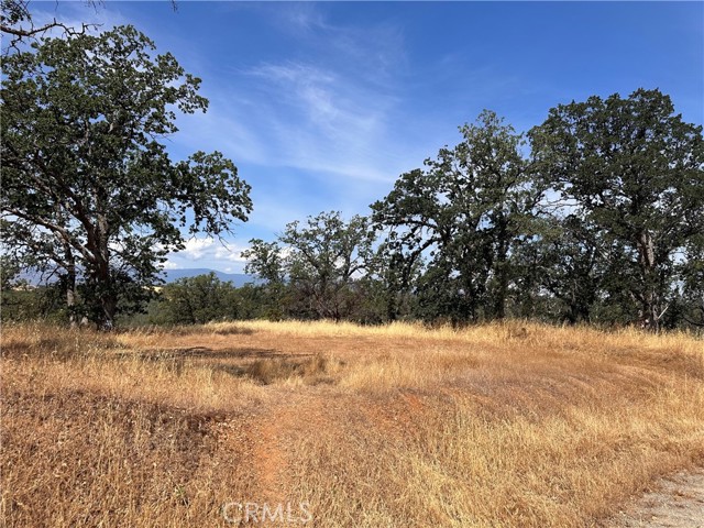 16173 Nugget, Corning, CA, 96021 16173 Nugget, Corning, CA, 96021