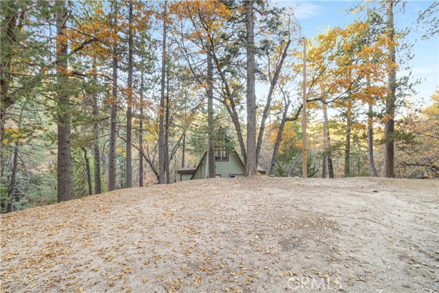 Detail Gallery Image 11 of 71 For 32703 Tulip Lane, Arrowbear,  CA 92382 - 2 Beds | 1 Baths