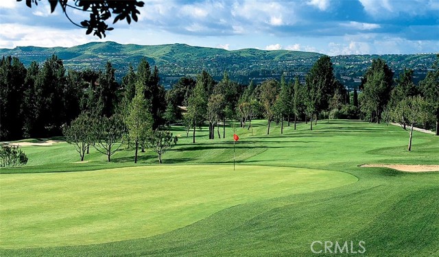 4332 WILD GINGER Circle, Yorba Linda CA: https://media.crmls.org/medias/4d52a618-ac2e-4b2a-ad0d-d4ea2f4a5181.jpg