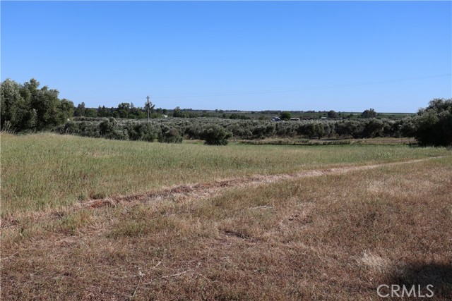 Detail Gallery Image 31 of 32 For 0 Carona Ave., Corning,  CA 96021 - – Beds | – Baths