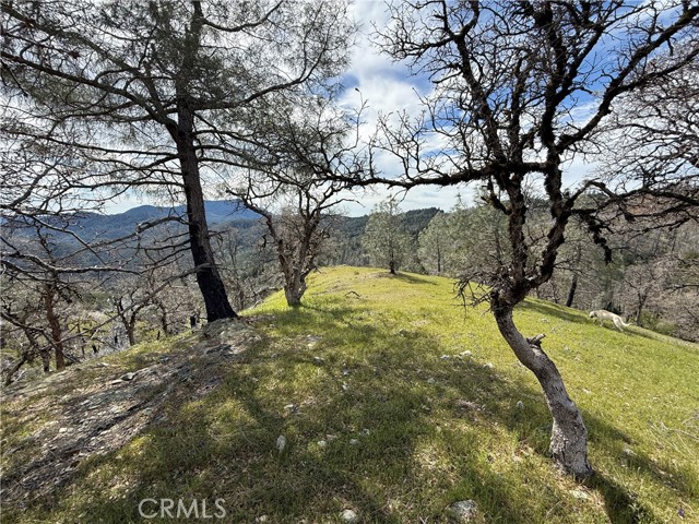 Detail Gallery Image 34 of 34 For 12125 Dry Creek Rd, Middletown,  CA 95461 - – Beds | – Baths