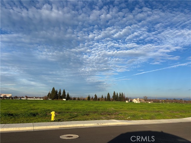 698 Hambright (Corner Hwy 32) Avenue, Orland CA: https://media.crmls.org/medias/4d5978b7-ef6a-457c-bb1f-2a6340f3faf2.jpg