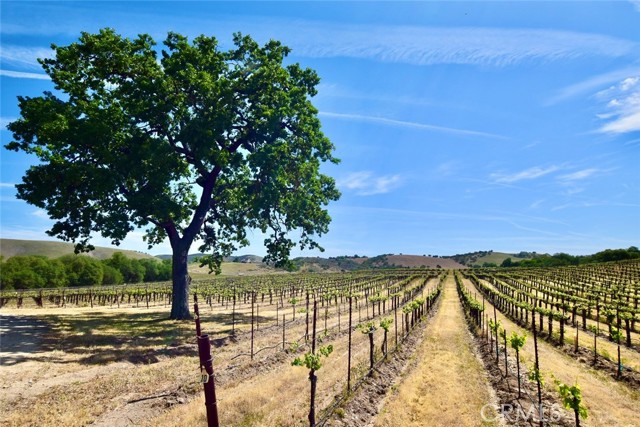 Image 1 of 60 For 53600 Bradley Lockwood Road