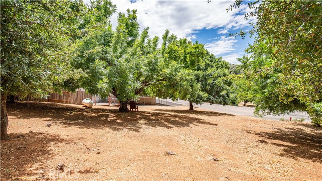 10018 El Capitan Way, Kelseyville CA: https://media.crmls.org/medias/4d5f0f49-d472-42dd-8c2d-cde8d4412584.jpg