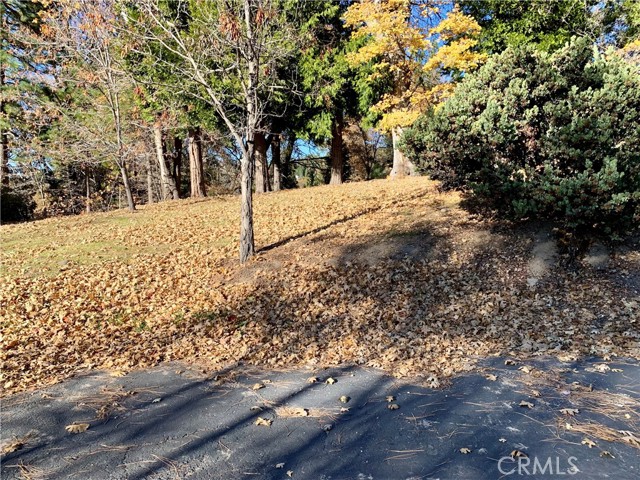 Detail Gallery Image 2 of 21 For 40 Park, Running Springs,  CA 92382 - – Beds | – Baths