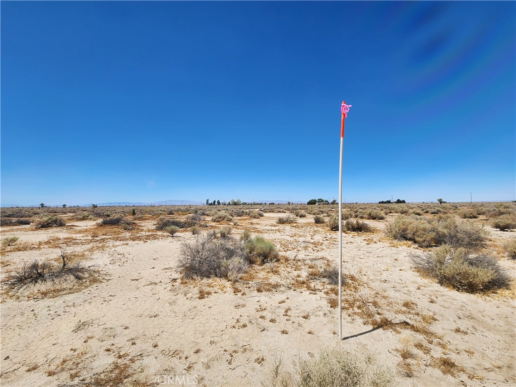 MLS #HD25117679 image #4