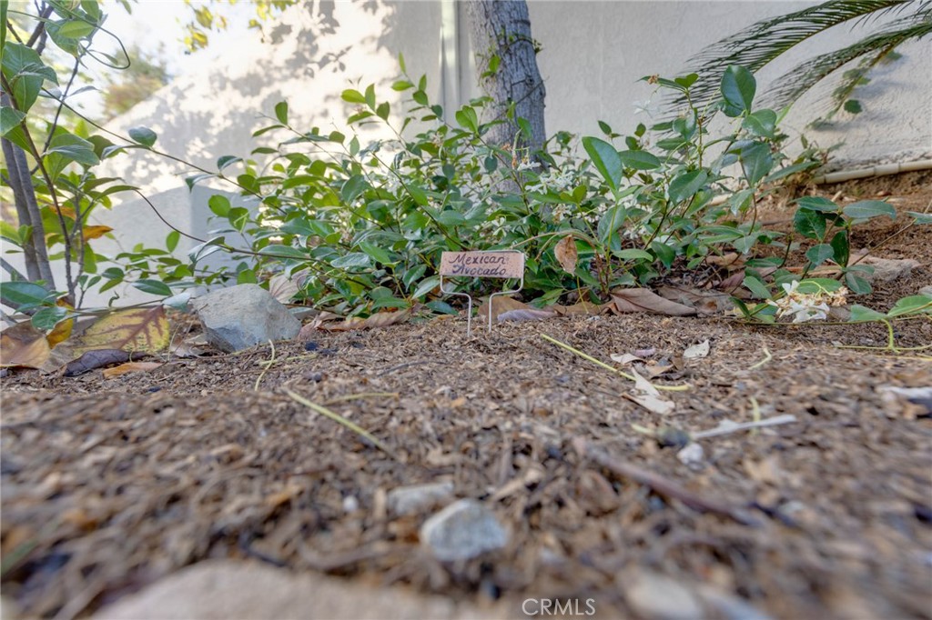 https://media.crmls.org/medias/4d77d1f7-320f-4f67-9d9b-082585a9be4a.jpg?preset=X-Large
