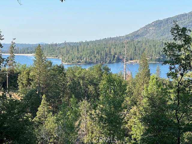 Detail Gallery Image 24 of 50 For Address Is Not Disclosed, Bass Lake,  CA 93604 - 4 Beds | 4 Baths