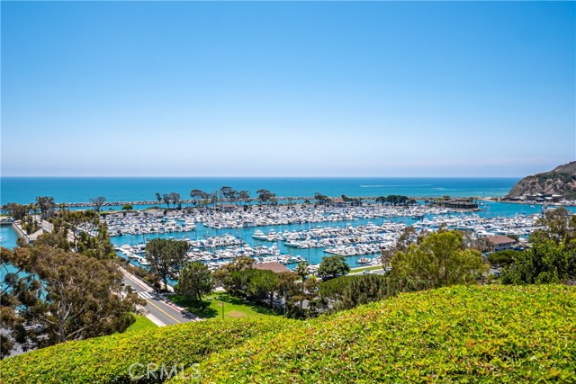 Detail Gallery Image 62 of 66 For 33231 Big Sur St, Dana Point,  CA 92629 - 4 Beds | 3 Baths