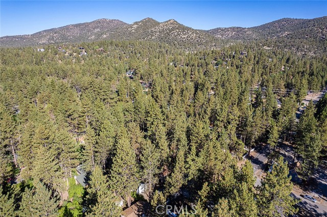 Detail Gallery Image 30 of 31 For 941 Anita Ave, Big Bear City,  CA 92314 - 2 Beds | 1 Baths