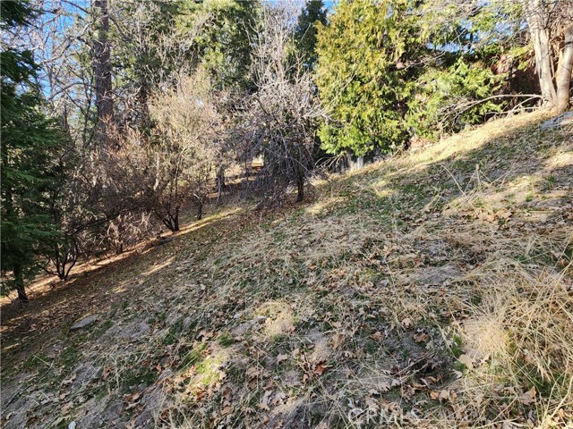 0 Basel Drive, Crestline CA: https://media.crmls.org/medias/4d9658a2-0ca7-4c07-a232-3a68294b0efe.jpg