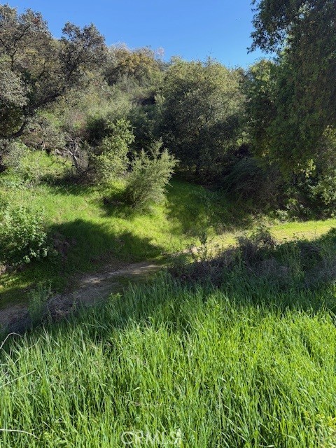 0 Greenwich Road, Glendale CA: https://media.crmls.org/medias/4d984621-0333-4c1a-a6ef-8a02bc81e9b9.jpg