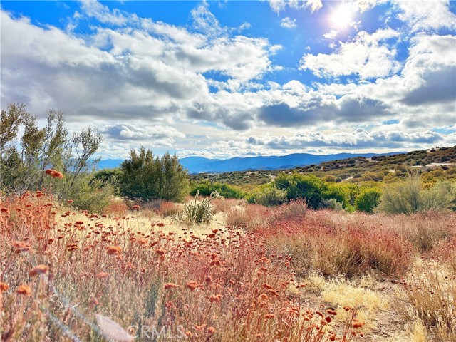 Detail Gallery Image 34 of 46 For 40 Acres via Oak Grove Ln, Ranchita,  CA 92066 - – Beds | – Baths