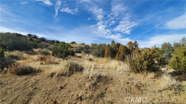 MLS #SR25242278 image #48