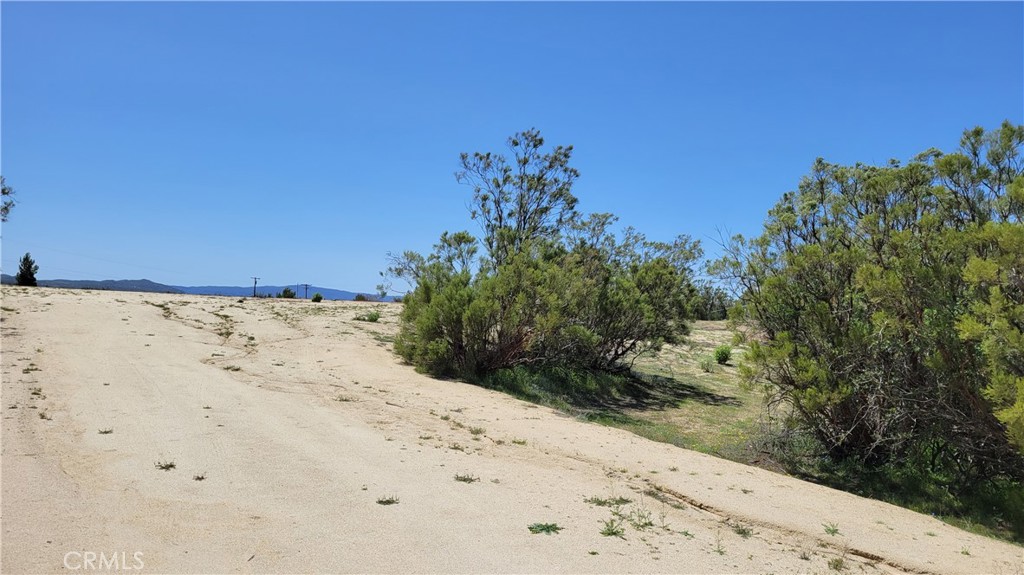 53409 Pony Trail