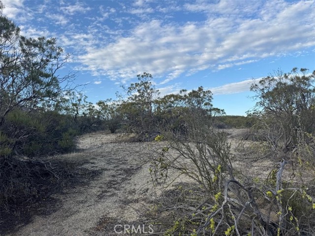 0 Springbrook Trail, Anza CA: https://media.crmls.org/medias/4da6531d-d211-48bf-82be-ab03dd04bc20.jpg