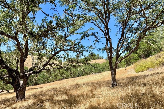 Detail Gallery Image 9 of 16 For 76310 Bryson Hesperia Rd, Bradley,  CA 93426 - – Beds | – Baths