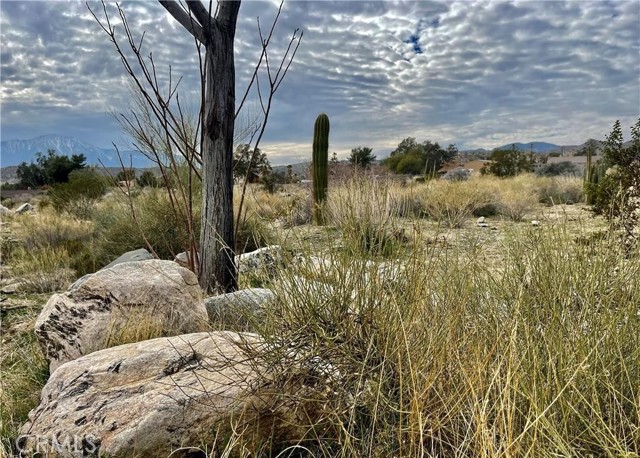 Detail Gallery Image 8 of 13 For 11040 Mescalero Ave, Morongo Valley,  CA 92256 - – Beds | – Baths