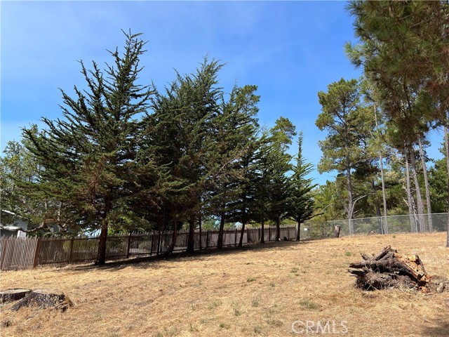 Detail Gallery Image 18 of 24 For 0 Warren Rd, Cambria,  CA 93428 - – Beds | – Baths