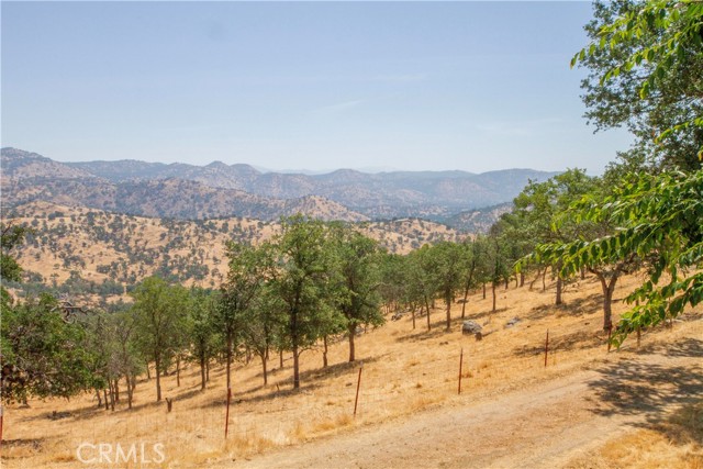 35032 George Smith Road, Squaw Valley CA: https://media.crmls.org/medias/4dadc634-fac2-4fe3-b14f-55992732b5f5.jpg