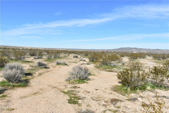 Detail Gallery Image 23 of 31 For 24 Frontier, Helendale,  CA 92342 - – Beds | – Baths