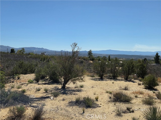 Detail Gallery Image 9 of 10 For 0 Howard, Anza,  CA 92539 - – Beds | – Baths