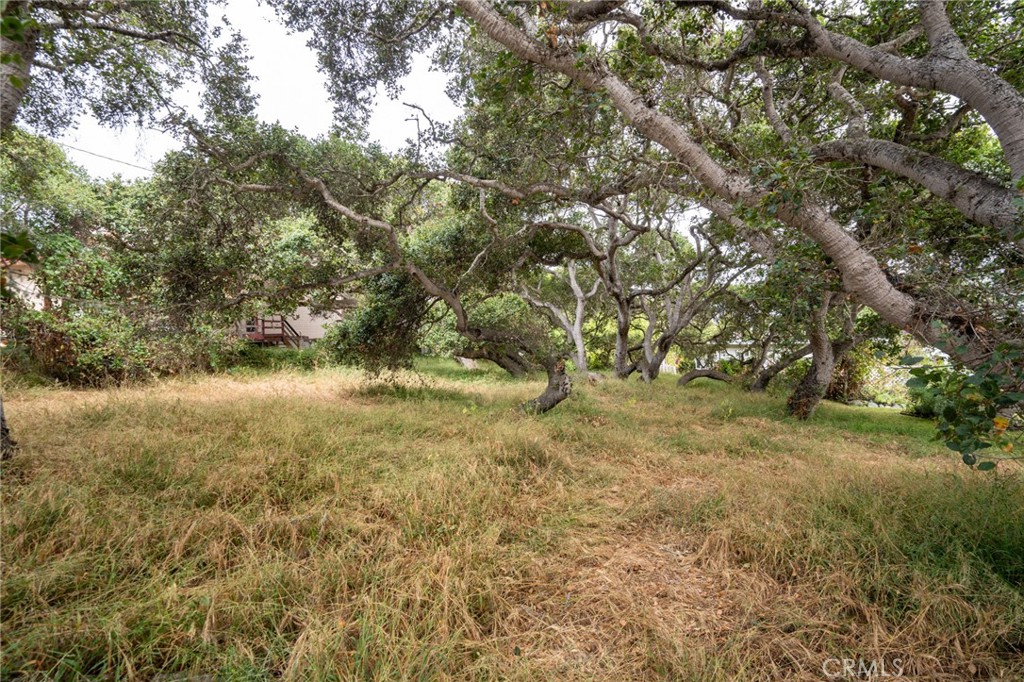 MLS #SC25145989 image #5