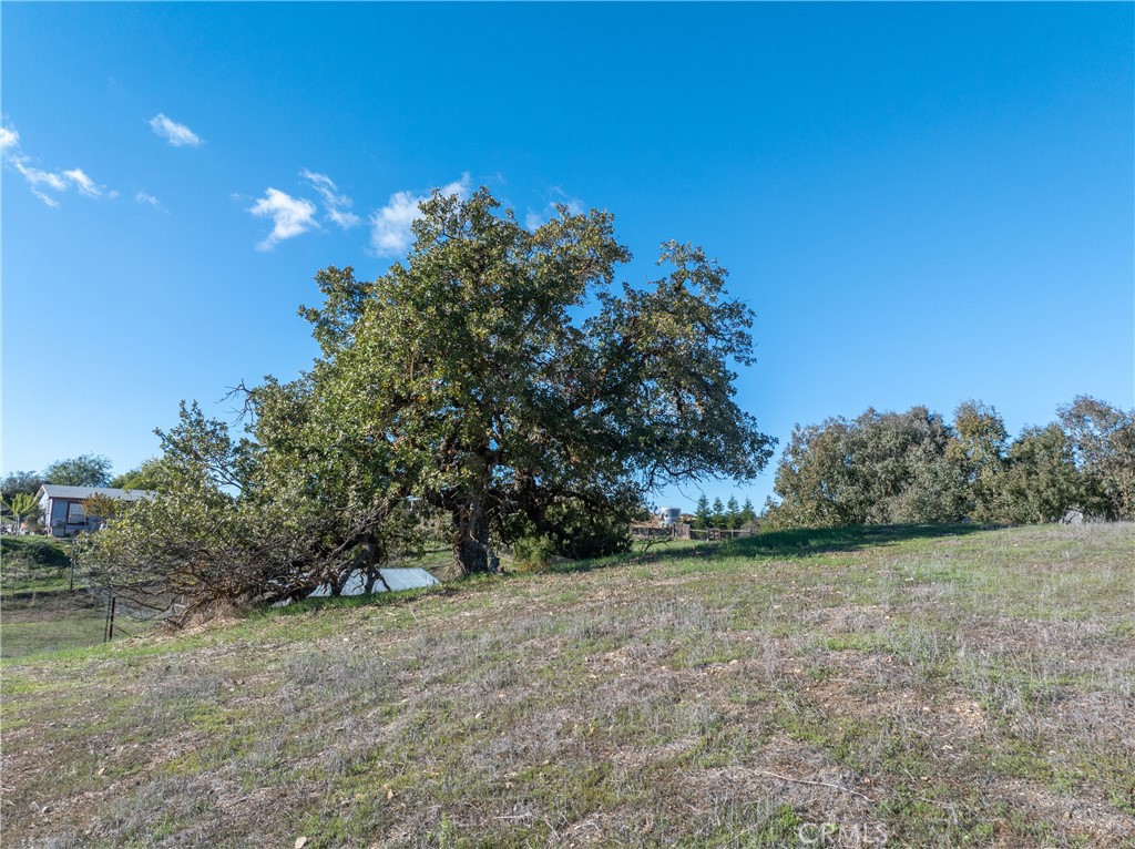 MLS #NS25256620 image #29