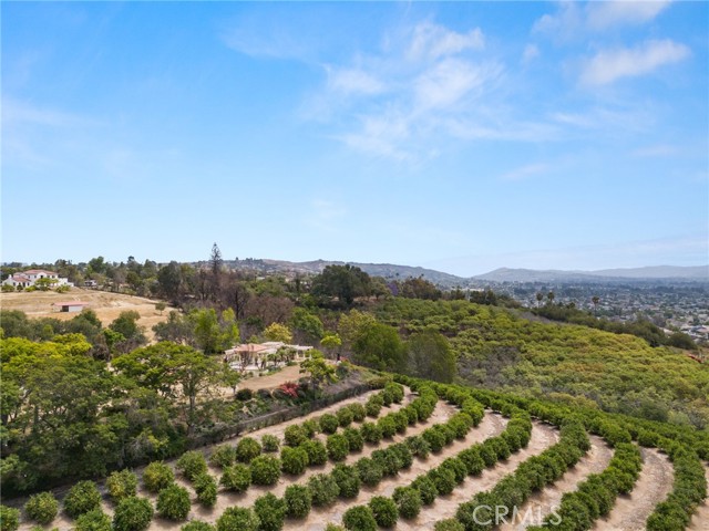 25 Encino Avenue, Camarillo CA: https://media.crmls.org/medias/4dc6842e-0c97-42ae-9fae-616c0c637a1e.jpg