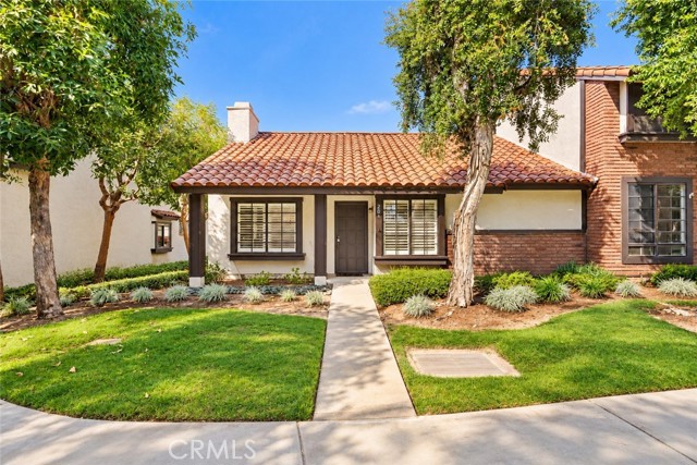206 San Luis Rey photo 19