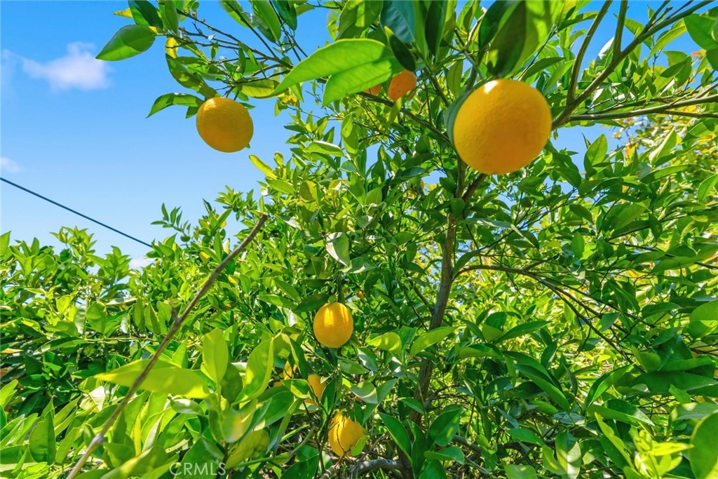 https://media.crmls.org/medias/4dce1d35-2e84-4a4b-8aed-582c048aa95a.jpg?preset=X-Large