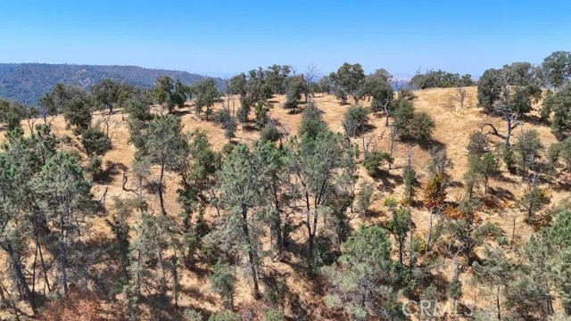 Detail Gallery Image 11 of 20 For 0 Mountain View Peak Road, O Neals,  CA 93653 - – Beds | – Baths