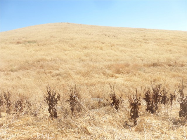 Detail Gallery Image 24 of 42 For 0 Douglas Rd. (Lots 40-43), San Miguel,  CA 93451 - – Beds | – Baths
