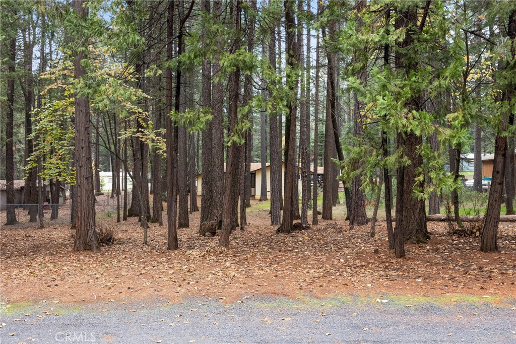 4Ddc750F Aa69 4646 82B0 F0A41866C2E8 6466 Tikker, Magalia, Ca 95954 &Lt;Span Style='BackgroundColor:transparent;Padding:0Px;'&Gt; &Lt;Small&Gt; &Lt;I&Gt; &Lt;/I&Gt; &Lt;/Small&Gt;&Lt;/Span&Gt;