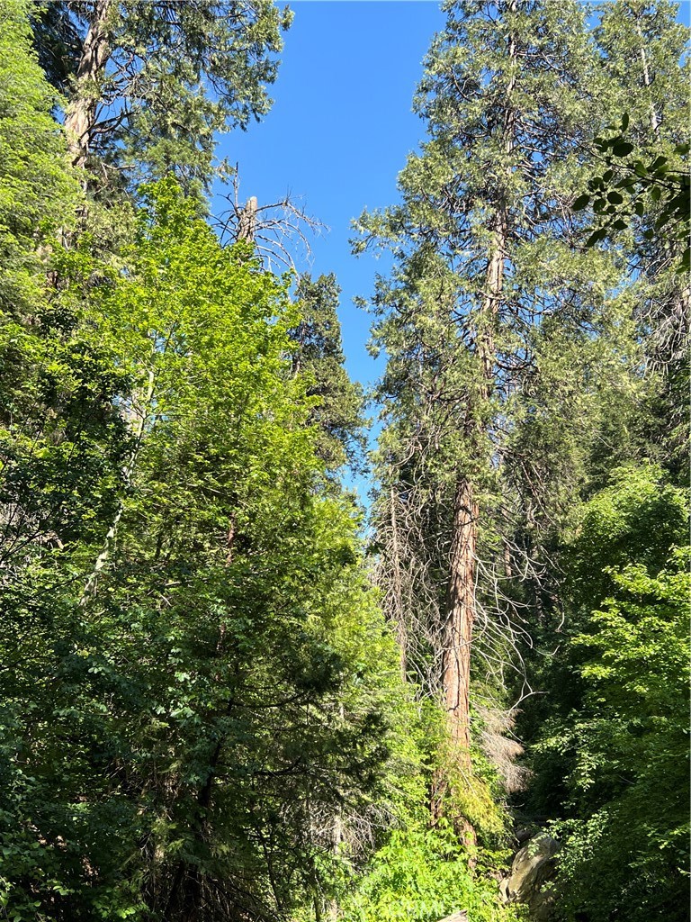 https://media.crmls.org/medias/4df39bfa-eb69-4ded-883e-8193db2085db.jpg?preset=X-Large