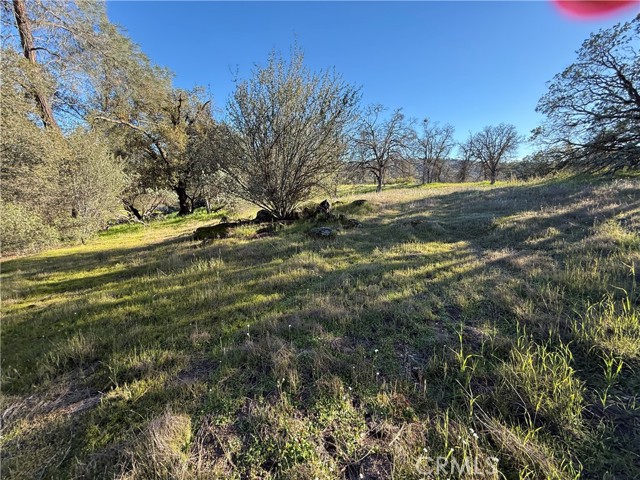 Detail Gallery Image 12 of 25 For 0 Long Hollow Lot 1631, Coarsegold,  CA 93614 - – Beds | – Baths
